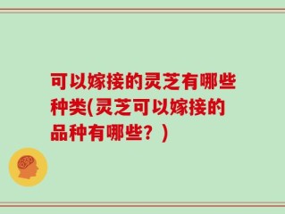 可以嫁接的灵芝有哪些种类(灵芝可以嫁接的品种有哪些？)