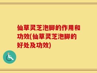 仙草灵芝泡脚的作用和功效(仙草灵芝泡脚的好处及功效)