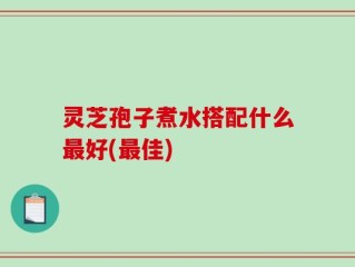灵芝孢子煮水搭配什么最好(最佳)