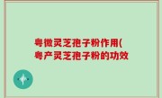 粤微灵芝孢子粉作用(粤产灵芝孢子粉的功效
