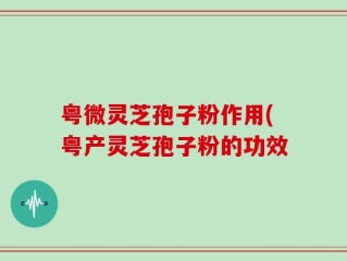 粤微灵芝孢子粉作用(粤产灵芝孢子粉的功效