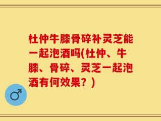 杜仲牛膝骨碎补灵芝能一起泡酒吗(杜仲、牛膝、骨碎、灵芝一起泡酒有何效果？)