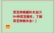 灵芝种类图片大全(50+种灵芝图片，了解灵芝种类大全！)