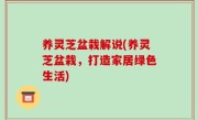 养灵芝盆栽解说(养灵芝盆栽，打造家居绿色生活)