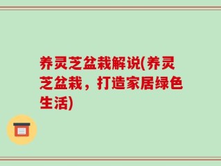 养灵芝盆栽解说(养灵芝盆栽，打造家居绿色生活)