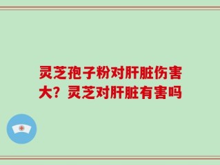 灵芝孢子粉对肝脏伤害大？灵芝对肝脏有害吗