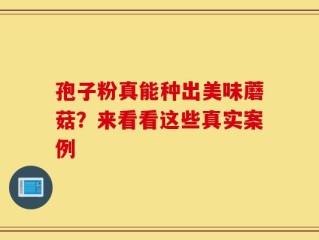 孢子粉真能种出美味蘑菇？来看看这些真实案例