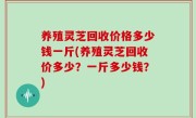 养殖灵芝回收价格多少钱一斤(养殖灵芝回收价多少？一斤多少钱？)