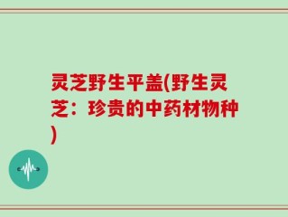 灵芝野生平盖(野生灵芝：珍贵的中药材物种)