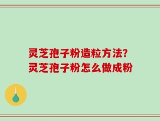 灵芝孢子粉造粒方法？灵芝孢子粉怎么做成粉