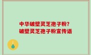 中华破壁灵芝孢子粉？破壁灵芝孢子粉宣传语