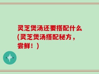 灵芝煲汤还要搭配什么(灵芝煲汤搭配秘方，尝鲜！)