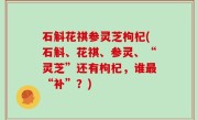 石斛花祺参灵芝枸杞(石斛、花祺、参灵、“灵芝”还有枸杞，谁最“补”？)