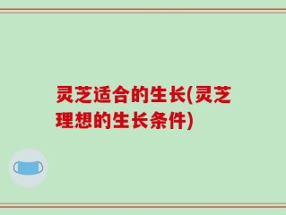 灵芝适合的生长(灵芝理想的生长条件)