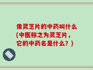 像灵芝片的中药叫什么(中医称之为灵芝片，它的中药名是什么？)
