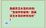 西藏灵芝木耳的功效(“发现神奇植物！西藏灵芝木耳的神奇功效”)