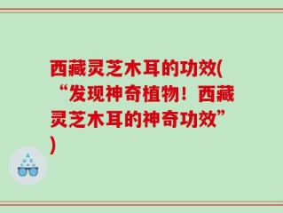西藏灵芝木耳的功效(“发现神奇植物！西藏灵芝木耳的神奇功效”)
