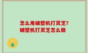 怎么用破壁机打灵芝？破壁机打灵芝怎么做