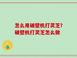 怎么用破壁机打灵芝？破壁机打灵芝怎么做