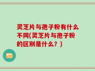 灵芝片与孢子粉有什么不同(灵芝片与孢子粉的区别是什么？)