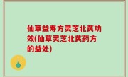 仙草益寿方灵芝北芪功效(仙草灵芝北芪药方的益处)