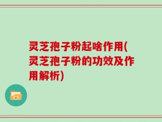灵芝孢子粉起啥作用(灵芝孢子粉的功效及作用解析)