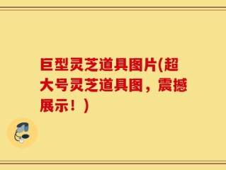 巨型灵芝道具图片(超大号灵芝道具图，震撼展示！)