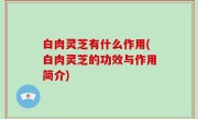 白肉灵芝有什么作用(白肉灵芝的功效与作用简介)