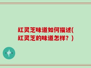 红灵芝味道如何描述(红灵芝的味道怎样？)