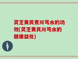 灵芝黄芪煮川芎水的功效(灵芝黄芪川芎水的健康益处)