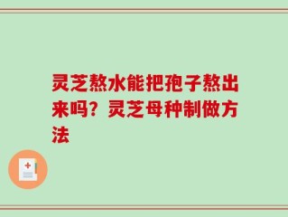 灵芝熬水能把孢子熬出来吗？灵芝母种制做方法