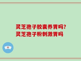 灵芝孢子胶囊养胃吗？灵芝孢子粉刺激胃吗