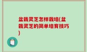 盆栽灵芝怎样栽培(盆栽灵芝的简单培育技巧)