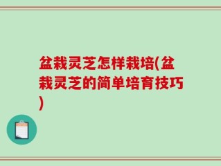 盆栽灵芝怎样栽培(盆栽灵芝的简单培育技巧)