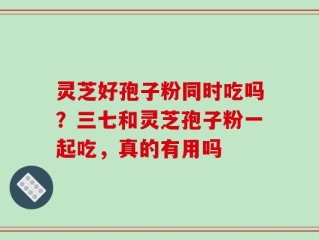 灵芝好孢子粉同时吃吗？三七和灵芝孢子粉一起吃，真的有用吗
