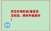 灵芝外观形状(重塑灵芝形态，揭开外貌奥妙)