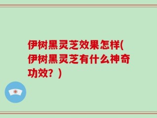 伊树黑灵芝效果怎样(伊树黑灵芝有什么神奇功效？)