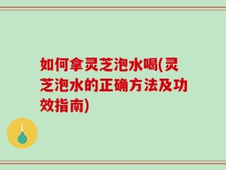 如何拿灵芝泡水喝(灵芝泡水的正确方法及功效指南)