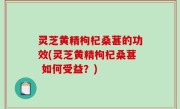 灵芝黄精枸杞桑葚的功效(灵芝黄精枸杞桑葚 如何受益？)