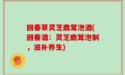 回春草灵芝鹿茸泡酒(回春酒：灵芝鹿茸泡制，滋补养生)
