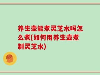 养生壶能煮灵芝水吗怎么煮(如何用养生壶煮制灵芝水)