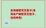青海破壁灵芝孢子(青海出产破壁灵芝孢子，功效神奇)