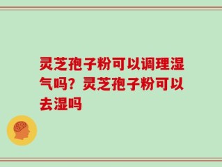灵芝孢子粉可以调理湿气吗？灵芝孢子粉可以去湿吗