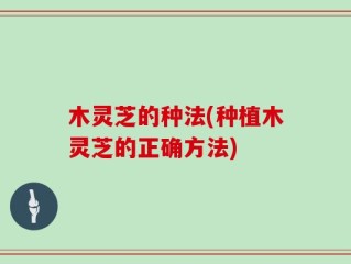 木灵芝的种法(种植木灵芝的正确方法)