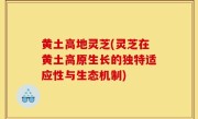 黄土高地灵芝(灵芝在黄土高原生长的独特适应性与生态机制)
