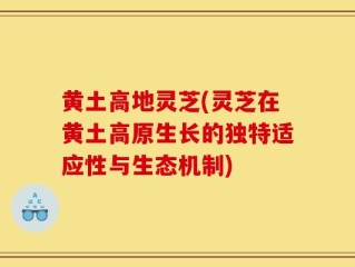 黄土高地灵芝(灵芝在黄土高原生长的独特适应性与生态机制)