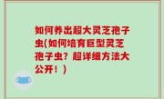 如何养出超大灵芝孢子虫(如何培育巨型灵芝孢子虫？超详细方法大公开！)