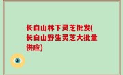 长白山林下灵芝批发(长白山野生灵芝大批量供应)