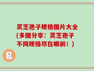灵芝孢子规格图片大全(多图分享：灵芝孢子不同规格尽在眼前！)