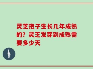 灵芝孢子生长几年成熟的？灵芝发芽到成熟需要多少天